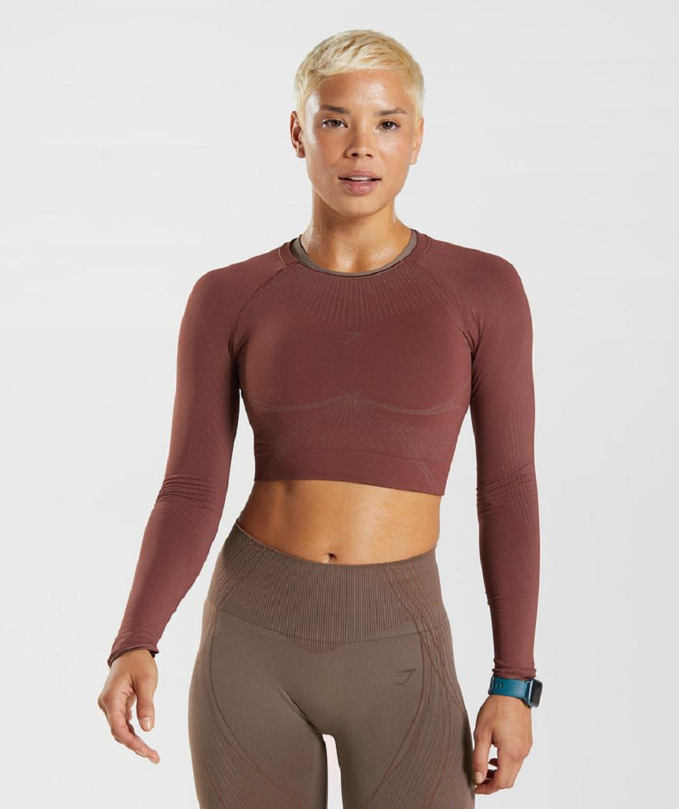 Przycięte Topy Damskie Gymshark Apex Seamless Różowe Brązowe Brązowe | PL 2571SGL